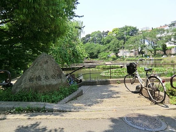 白幡池公園(白幡池公園まで180m 休日にはご家族で楽しめます♪)