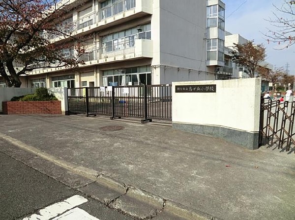 横浜市立鳥が丘小学校(横浜市立鳥が丘小学校まで300m)