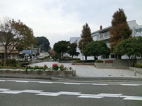 横浜市立本牧中学校(横浜市立本牧中学校まで1000m)