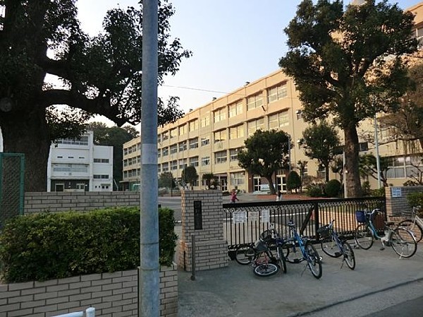 横浜市立新井小学校(横浜市立新井小学校まで800m)