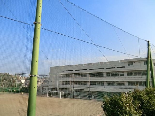 横浜市立平戸中学校(横浜市立平戸中学校まで1500m)