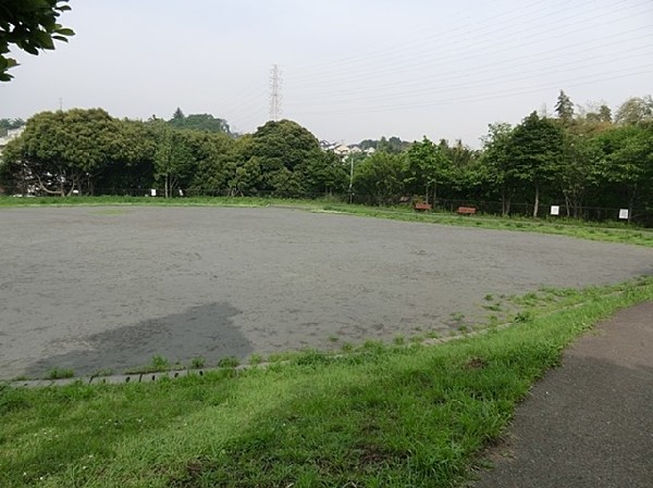 白根東公園(白根東公園まで800ｍ)