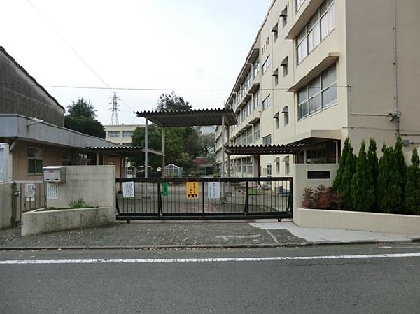 横浜市立左近山小学校(横浜市立左近山小学校まで450m)