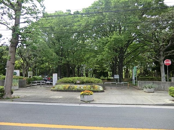 根岸森林公園(根岸森林公園まで400m 公園近くでお子様も安心して遊べます♪)