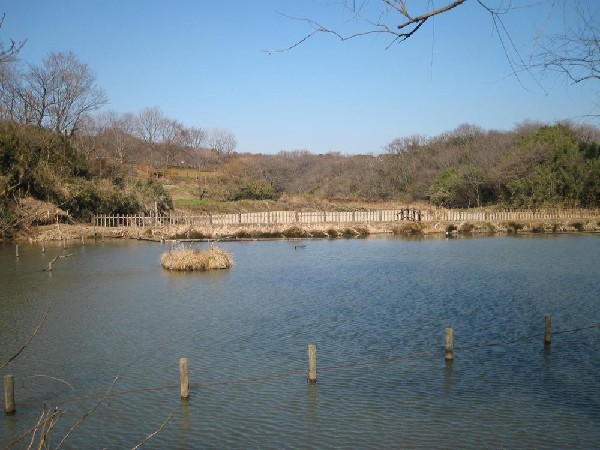 舞岡公園(舞岡公園まで550m)