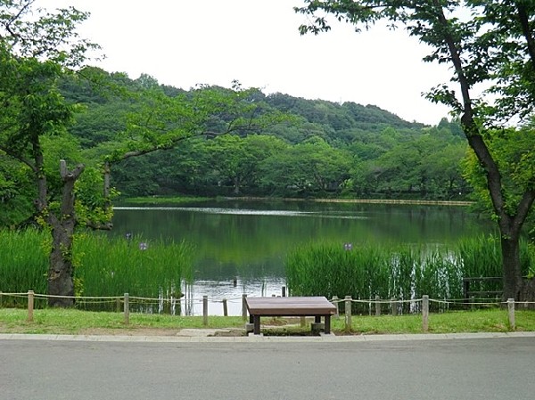 三ツ池公園(三ツ池公園まで210ｍ)