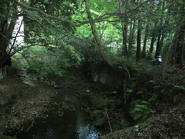 陣ヶ下渓谷公園(陣ヶ下渓谷公園まで350m)