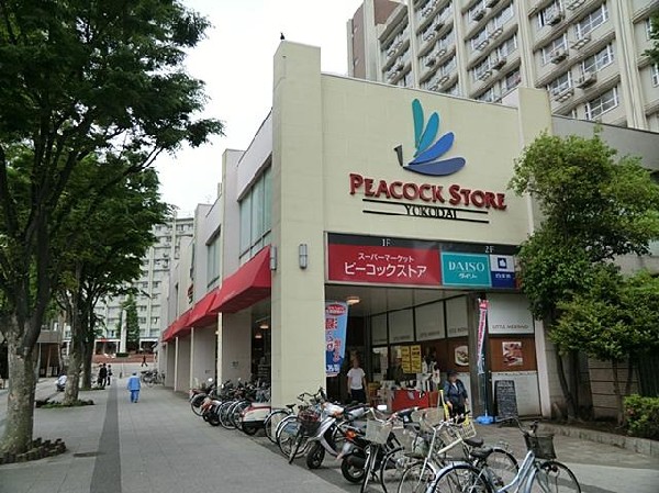 ピーコックストア洋光台店(ピーコックストア洋光台店まで1200m 大型スーパーも近くあり買物便利♪)