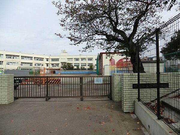 横浜市立白根小学校(横浜市立白根小学校まで350m)