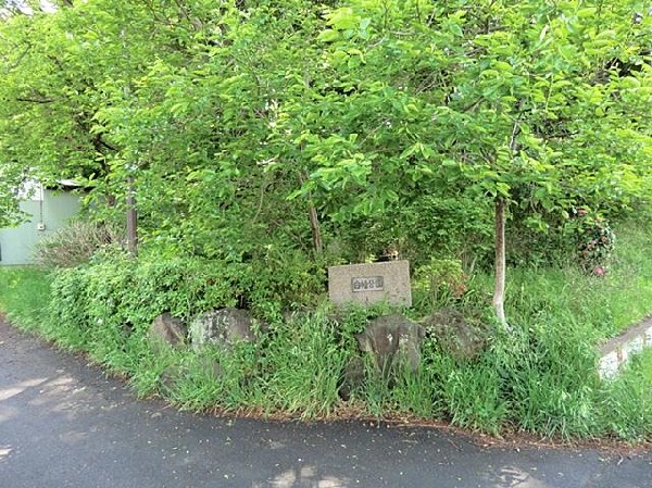 白幡公園(白幡公園まで240m)