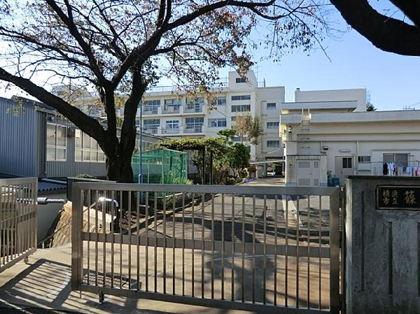 横浜市立篠原小学校(横浜市立篠原小学校まで500m)