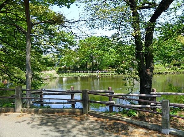 菊名池公園(菊名池公園まで300m)
