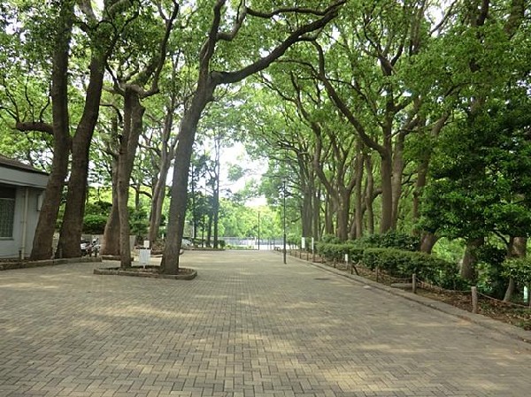 常盤公園(大規模公園)(常盤公園(大規模公園)まで1500m)