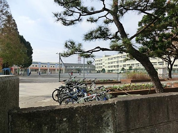 横浜市立東希望が丘小学校(横浜市立東希望が丘小学校まで600m)