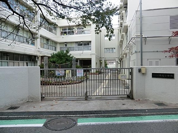 横浜市立港北小学校(横浜市立港北小学校まで500m 小学校近く♪お子様も通学も安心です♪)