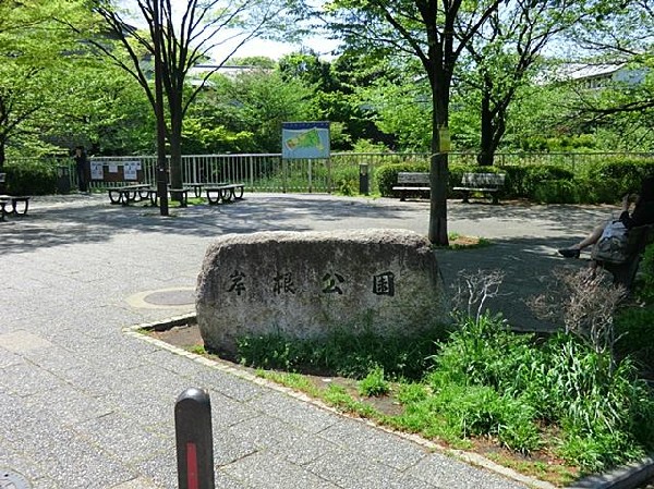 岸根公園(岸根公園まで800m)