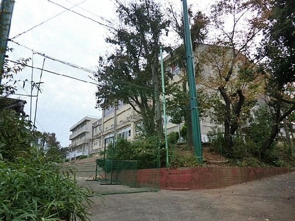 横浜市立橘中学校(横浜市立橘中学校まで800ｍ)