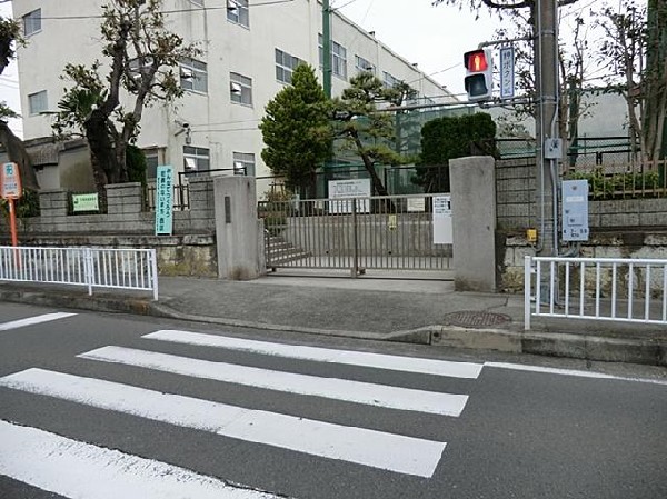 横浜市立一本松小学校(横浜市立一本松小学校まで450m)