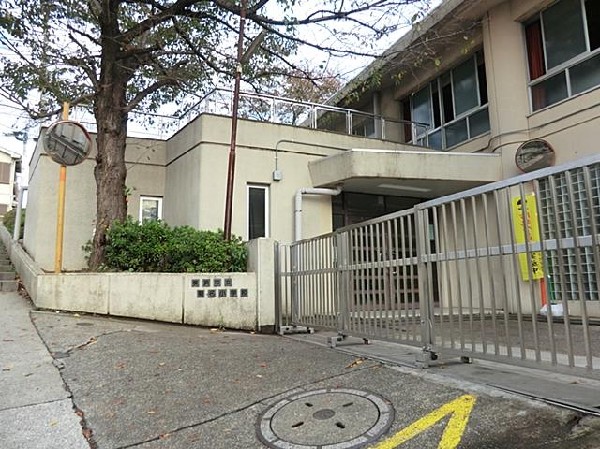 横浜市立菊名小学校(横浜市立菊名小学校まで800m)