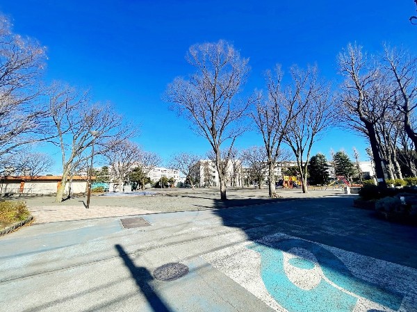 平間公園(園内中央には姉妹都市であるリエカ市から贈られた記念彫刻像と、その像を取囲むように代表的な樹木であるトチノキがあります。)