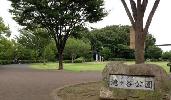 滝ヶ谷公園 (港北ニュータウンの公園の特徴である、豊かな緑に囲まれ土地の高低差を上手く利用して作られた公園です)