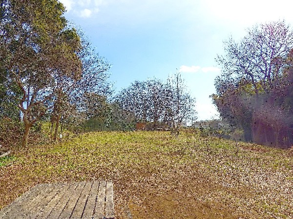 神庭緑地(宅地化が進行する蟹ヶ谷地内に残された貴重な緑地。緑地の階段を上ると見晴らしの良い景色が広がっている。)