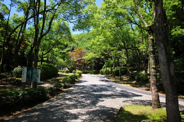 生田緑地　(爽やかな風が通り、豊かな自然をそのままいかした広大な緑地。広場、プラネタリウム、バラ園など、幅広い世代が楽しめるのも魅力です。 )