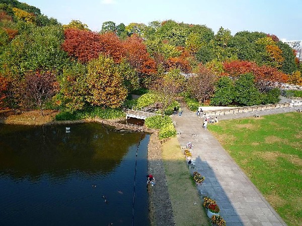 都筑中央公園(竹林に囲まれた、お散歩に最適な丘陵公園。季節に応じて桜やバラを楽しめます。)
