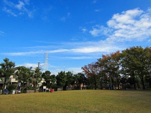 王禅寺公園(遊具のある広場が二か所あるほか、原っぱや公園の真中に遊歩道があります。野鳥もおり、自然にいやされます。)