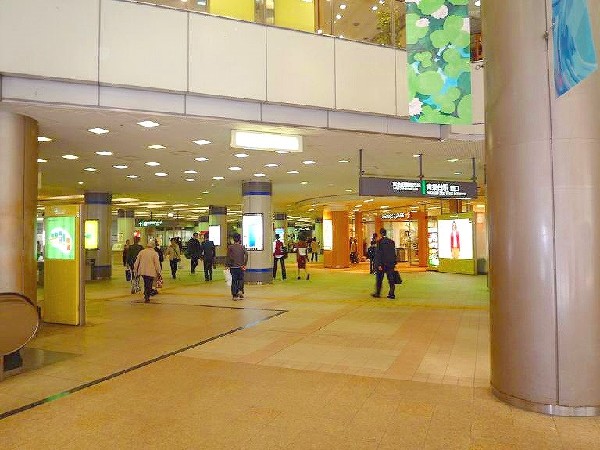 青葉台駅(渋谷からは急行で約28分、あざみ野の次に停車する急行停車駅です。駅を取り囲むようにショッピングセンターが立っており、駅前で何でも揃います。)