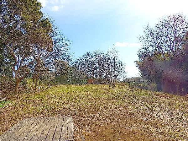 (500　神庭緑地　宅地化が進行する蟹ヶ谷地内に残された貴重な緑地。緑地の階段を上ると見晴らしの良い景色が広がっている。)