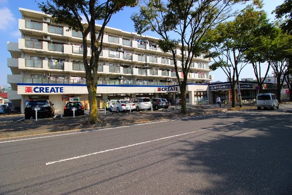 クリエイト柿の木台店　(スーパーやコンビニとともに生活に欠かせないという方も多いドラッグストアは、近所にあると頼もしい限りですね。)