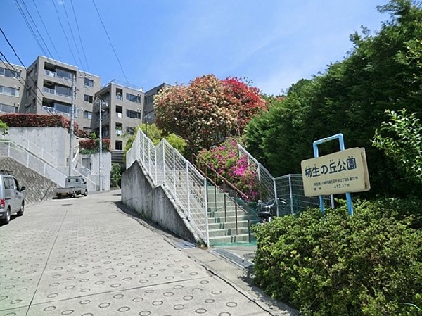 柿生の丘公園　(住宅街らしく近隣には公園が複数ありますので、お子様にも嬉しい住環境です。きっと、お気に入りの公園がみつかるはずです。)