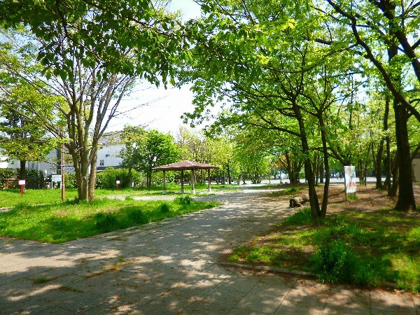 東高根森林公園(文化財である東高根遺跡や天然記念物であるシラカシ林を有する、多摩丘陵の美しい自然を今に伝える県立公園です。)
