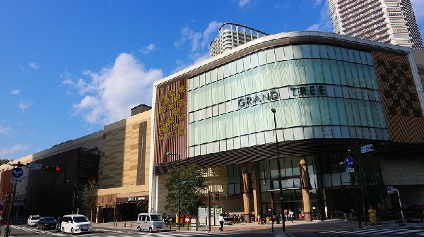 グランツリー武蔵小杉　(お子さんが遊べる屋上庭園が整備されていたり、ベビーカーでも通行しやすいように店内通路幅も広く、子育て世代に人気のスポットです。)