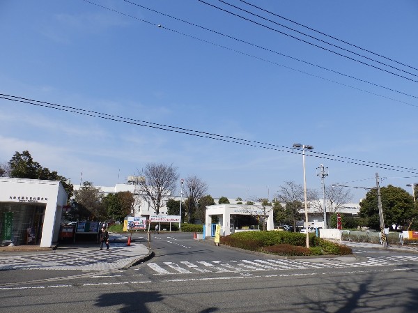 川崎北部市場(私たちの食生活に欠かすことの出来ない野菜や果物、魚介類などの生鮮食料品等を、安全・安心、適正な価格で安定供給している、食の流通拠点です。)