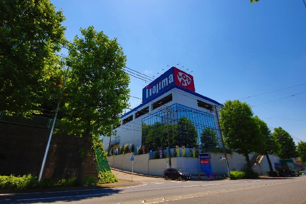 ロピア川崎水沢店(異業種コラボ店舗「ロピア」「マツモトキヨシ」「ノジマ」がオープン。)