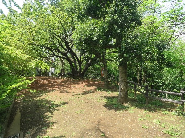 久末緑地 (川崎市で初の特別緑地保全地区。ベンチやテーブルもあり、憩いを求めることが出来ます。)