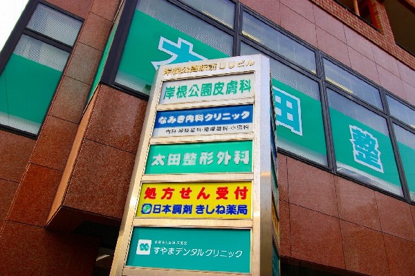 なみき内科クリニック(各種病院が集まっている集合ビル。近くに病院があるのは、もしもの時に助かる。)