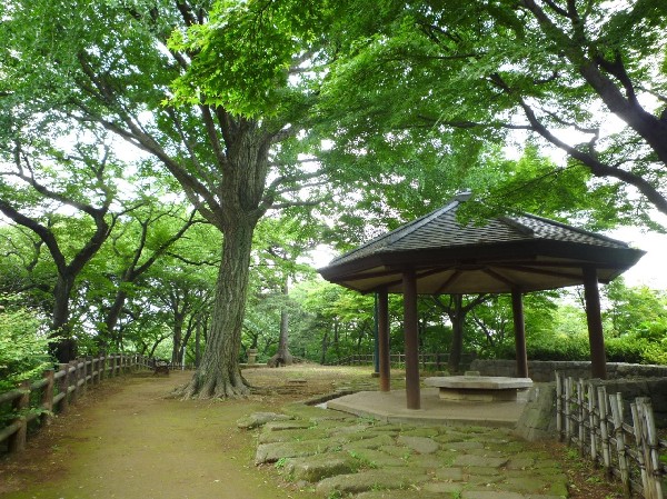 大倉山公園(梅林で有名な大きな公園、お休みの日にのんびりと過ごすことが出来ます。ドラマのロケ地にもなっています。)