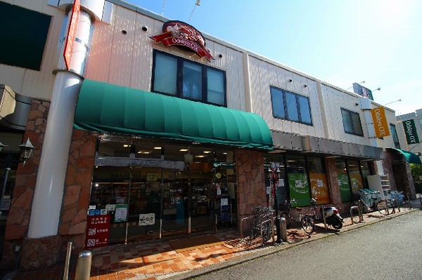 Odakyu OX生田店　(周辺にはいくつかのスーパーが点在しているので、曜日や特売でどこに買いに行くか、献立をどうするか、選択肢が広がる。)
