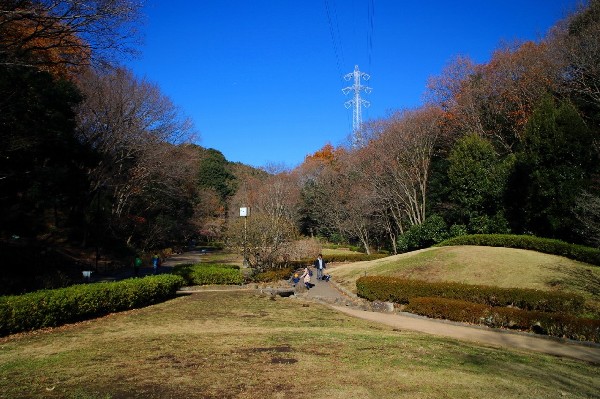 東高根森林公園(四季を感じる自然豊かな大規模公園。ランニングする人や、お弁当を広げてピクニックするご家族で賑わいます。自然と触れ合う楽しさを感じよう。)