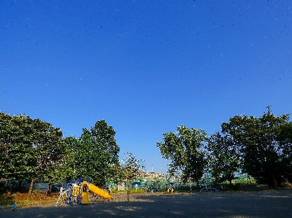 美しが丘西追分公園(比較的新しい住宅街の中にある公園です。すべり台が2つある複合遊具が人気！)