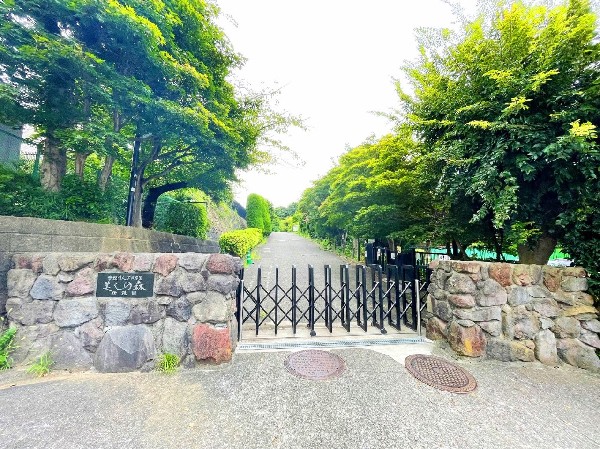 美しの森幼稚園(敷地面積約3000坪！広大な自然環境の中で自発的な活動を通して、子供たちの豊かな感性を育みます。　)