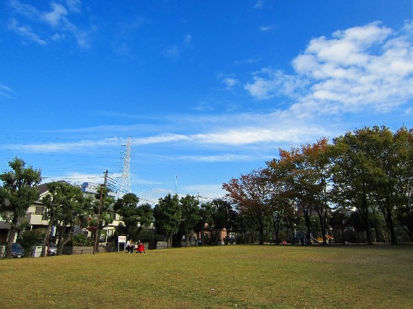 王禅寺公園　(閑静な住宅街の中にある公園です。遊具のある広場が二か所あるほか、原っぱや公園の真中に遊歩道があります。野鳥もおり、自然にいやされます。)