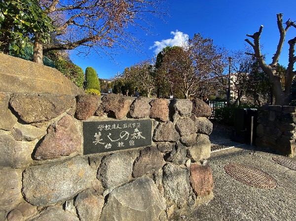 美しの森幼稚園(敷地面積約3000坪におよぶ、美しの森幼稚園の広大な自然環境の中で、自発的な活動を通して、子どもたちの豊かな感性を育みます)