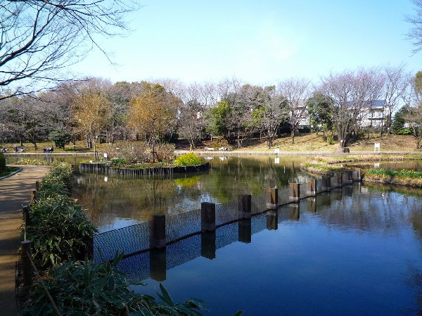 せせらぎ公園 (樹木が立ち並び、木漏れ日を愉しめる公園。都会の騒がしさから解放される、大人も癒される落ち着きある空間が広がります。)