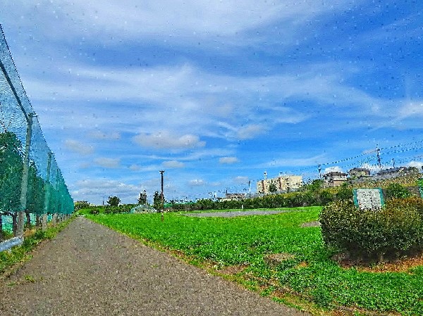 西長沢公園(敷地の大きい公園でメイン設備は広い芝生のグラウンドです。最近では無料駐車場が開設され利用しやすくなりました。)