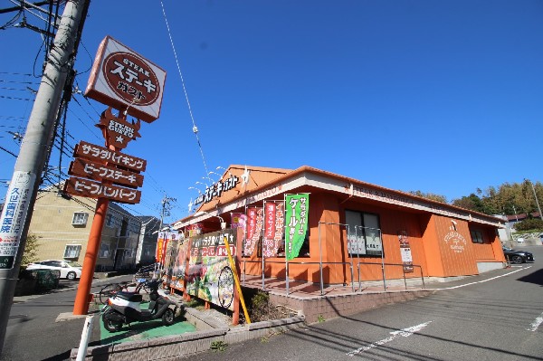 ステーキガスト(20種類以上のものが食べ放題、サラダ、ライス、スープ、カレー、パン、デザート、フルーツなど。)