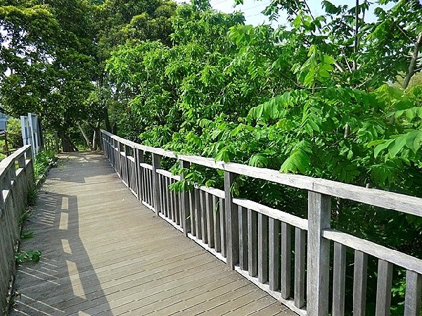 水沢の森・西公園(昔の里山の姿を取り戻し、野生動物や昆虫、草花などが生きられる環境づくりをして再生させようということをテーマに掲げました。)
